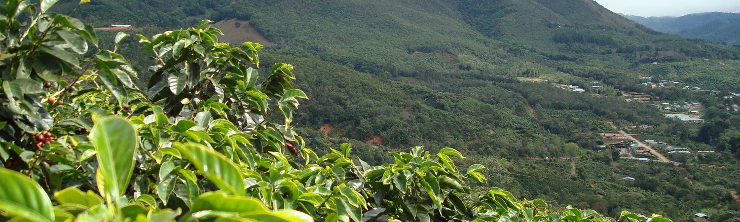Costa Rica