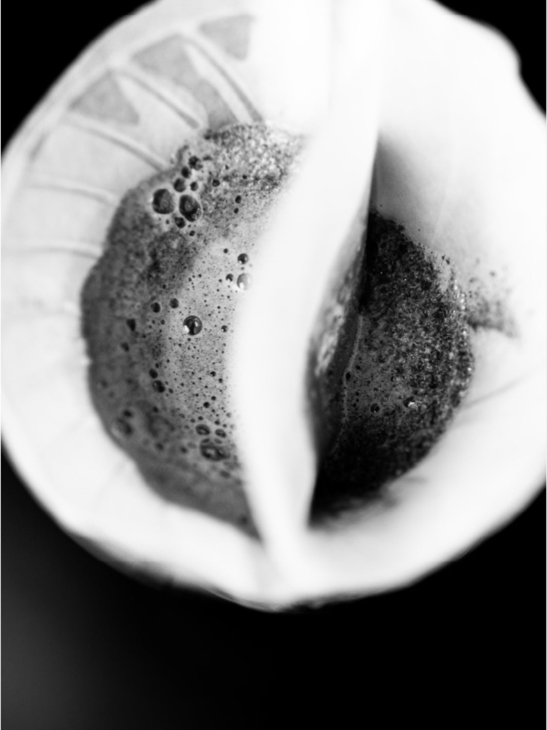 SIBARIST CONE DUAL CHAMBER Specialty Coffee Filters