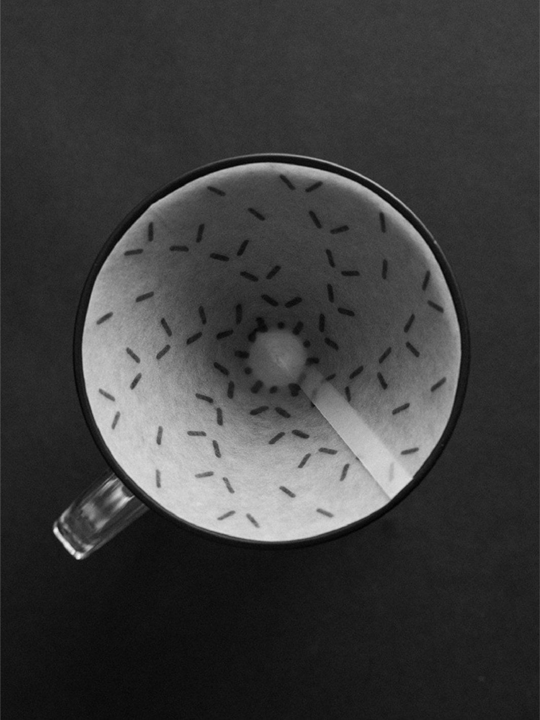 SIBARIST GRAYCANO Special Edition Coffee Filters