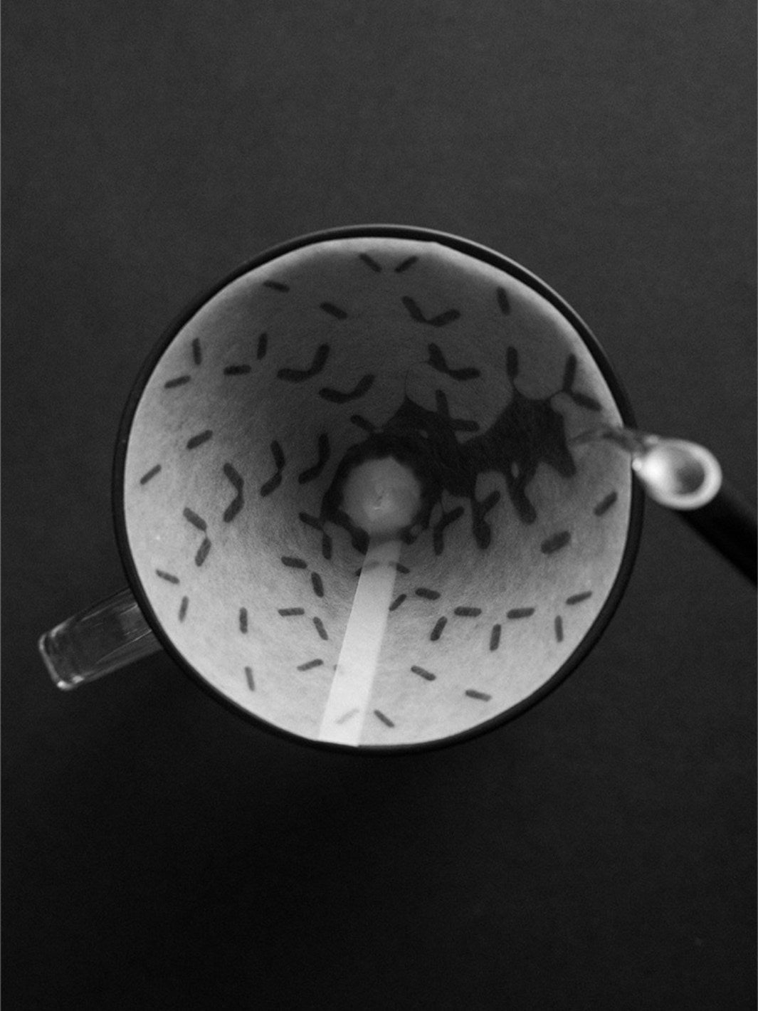 SIBARIST GRAYCANO Special Edition Coffee Filters