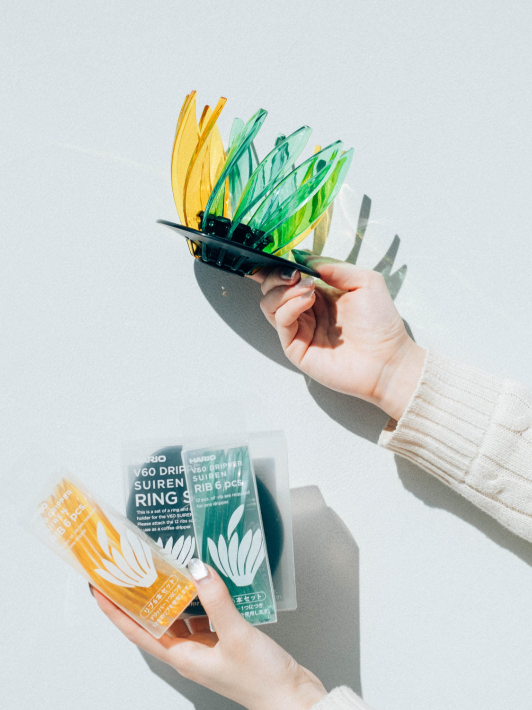 HARIO V60-02 Suiren Dripper Replacement Ribs (6-Pack)