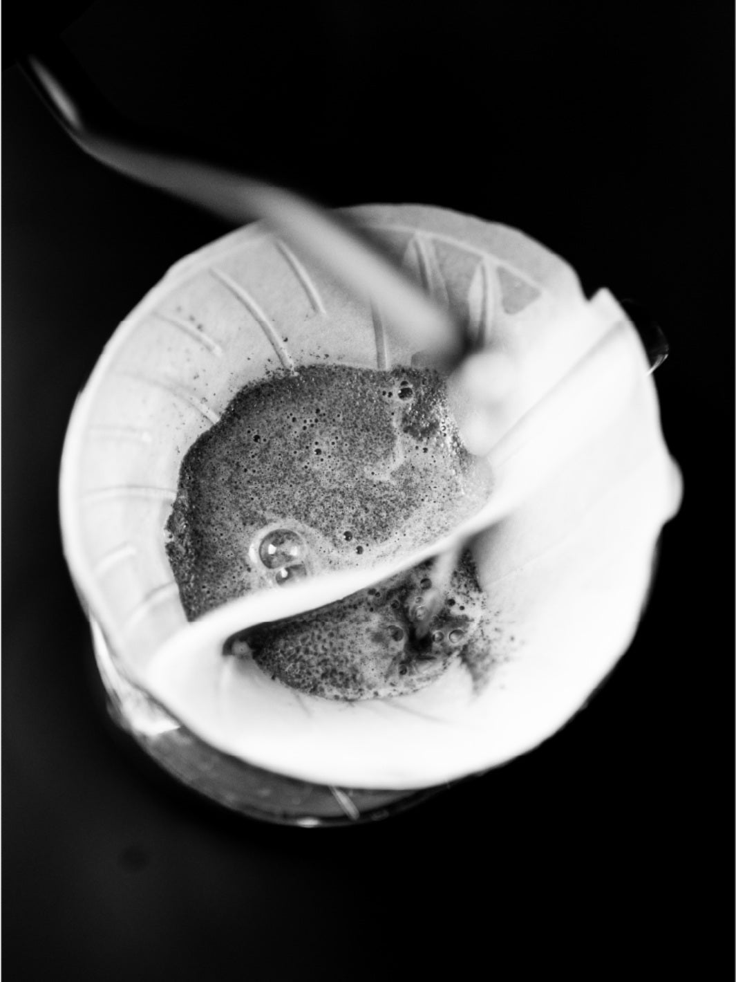 SIBARIST CONE DUAL CHAMBER Specialty Coffee Filters