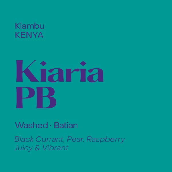 Subtext - Kiaria PB