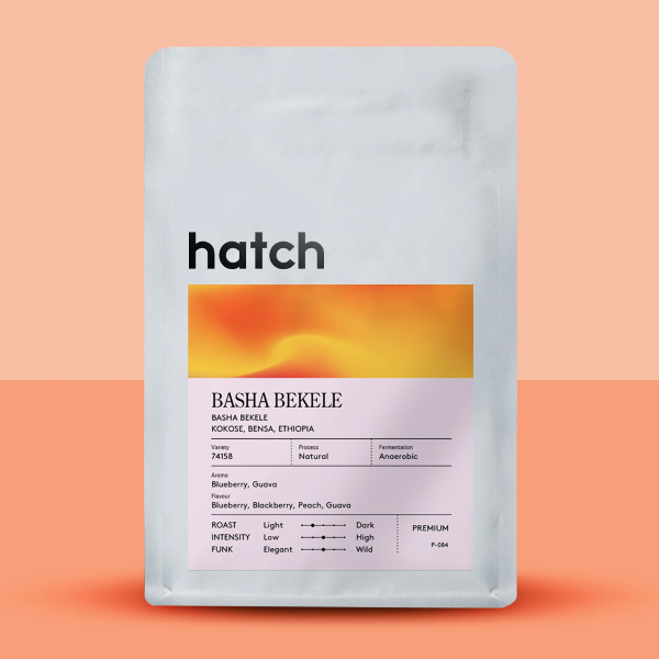Hatch - Basha Bekele: Anaerobic Natural