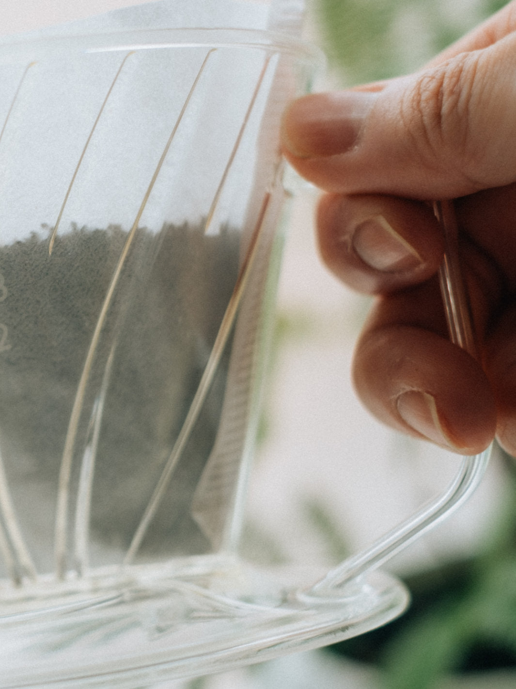 HARIO Pegasus 02 Dripper (Plastic)