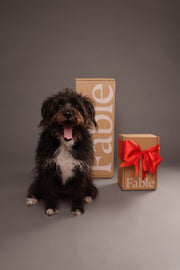 2 Fable boxes, one with a ribbon, with a dog in front of them