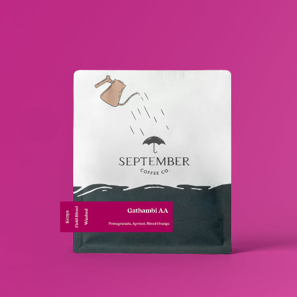 September - Gathambi AA