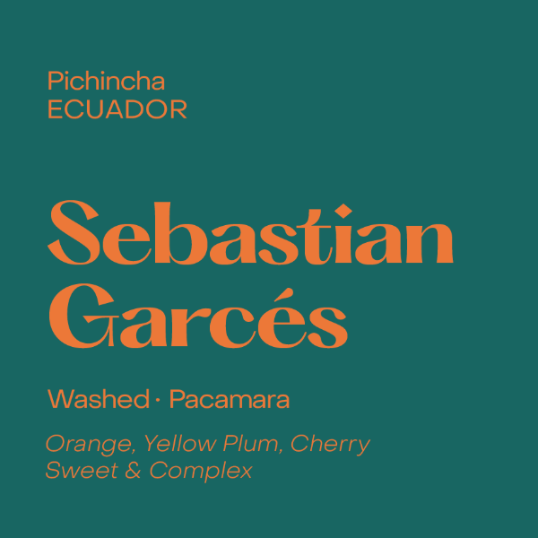 Photo of Subtext - Sebastian Garcés: Pacamara ( Default Title ) [ Subtext Coffee Roasters ] [ Coffee ]