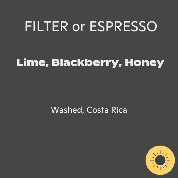 Photo of Ditta Artigianale - Finca S.Teresa Sl28 ( ) [ Ditta Artigianale ] [ Coffee ]