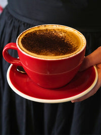 Photo of ACME Classic Large [Latte] Cup (280ml/9.47oz) ( ) [ Acme & Co. ] [ Coffee Cups ]