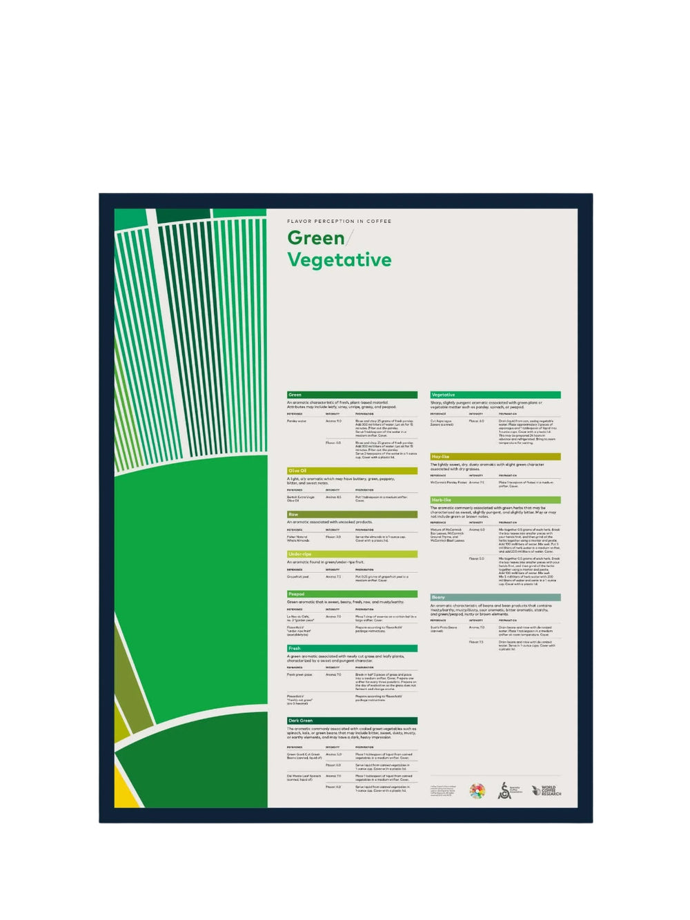 Photo of SCA Flavour Perception in Coffee Poster (Green/Vegetative) ( Default Title ) [ SCA ] [ Posters ]