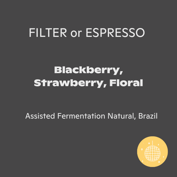 Photo of Assembly Coffee - Brazil Cerevi ( ) [ Assembly ] [ Coffee ]