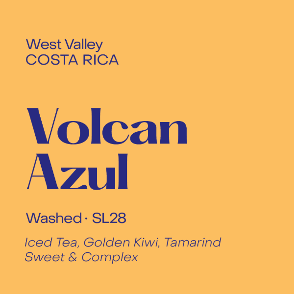 Photo of Subtext - Volcan Azul: Washed SL28 ( Default Title ) [ Subtext Coffee Roasters ] [ Coffee ]