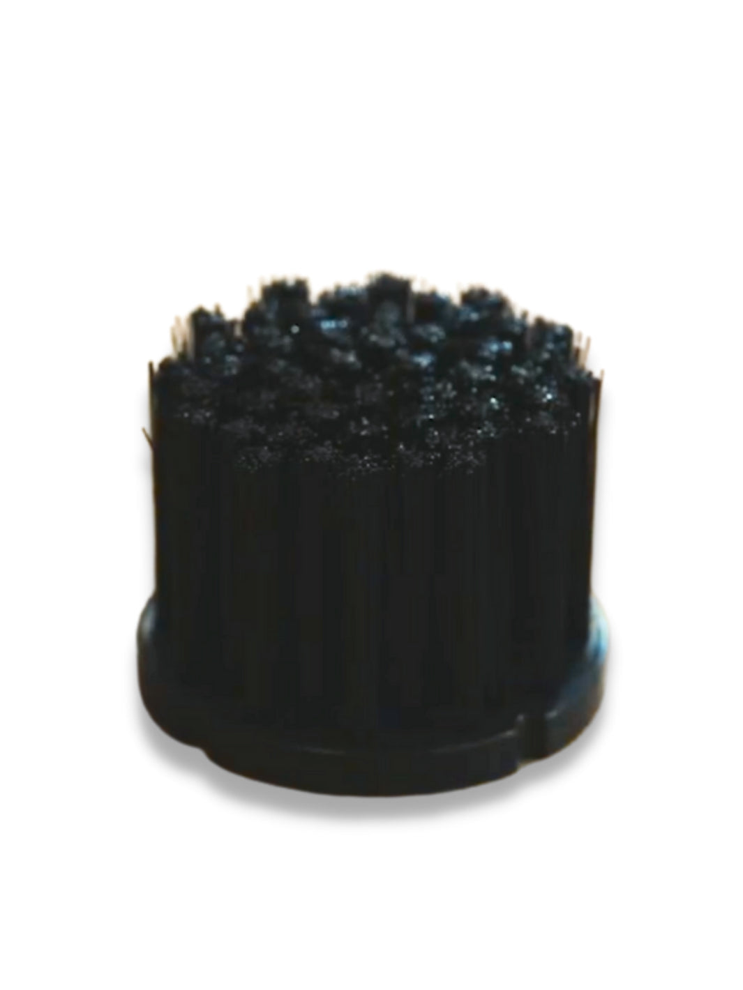 DUOMO Replacement Brush
