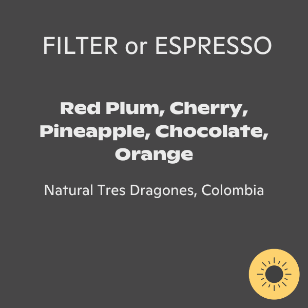 Rogue Wave Coffee - Finca Potosi Tres Dragones