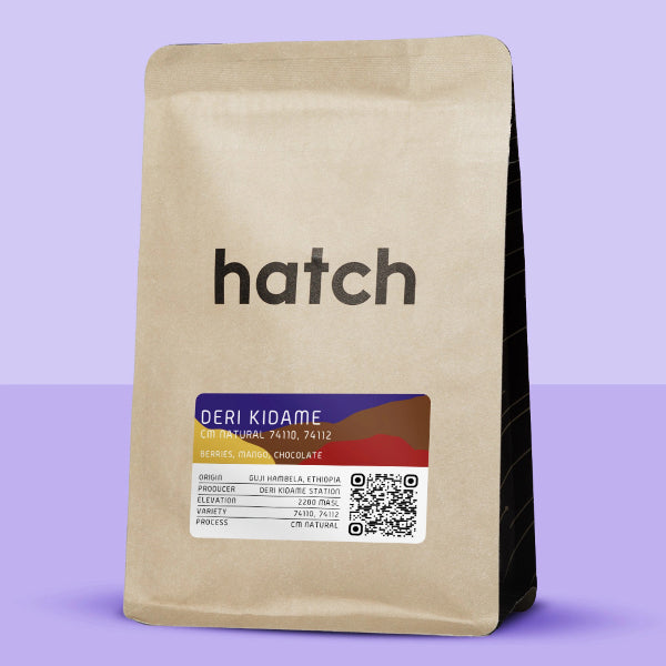 Hatch - Deri Kidame