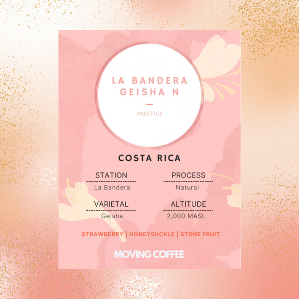 Photo of Moving Coffee - La Bandera Geisha N ( ) [ Moving Coffee ] [ Coffee ]