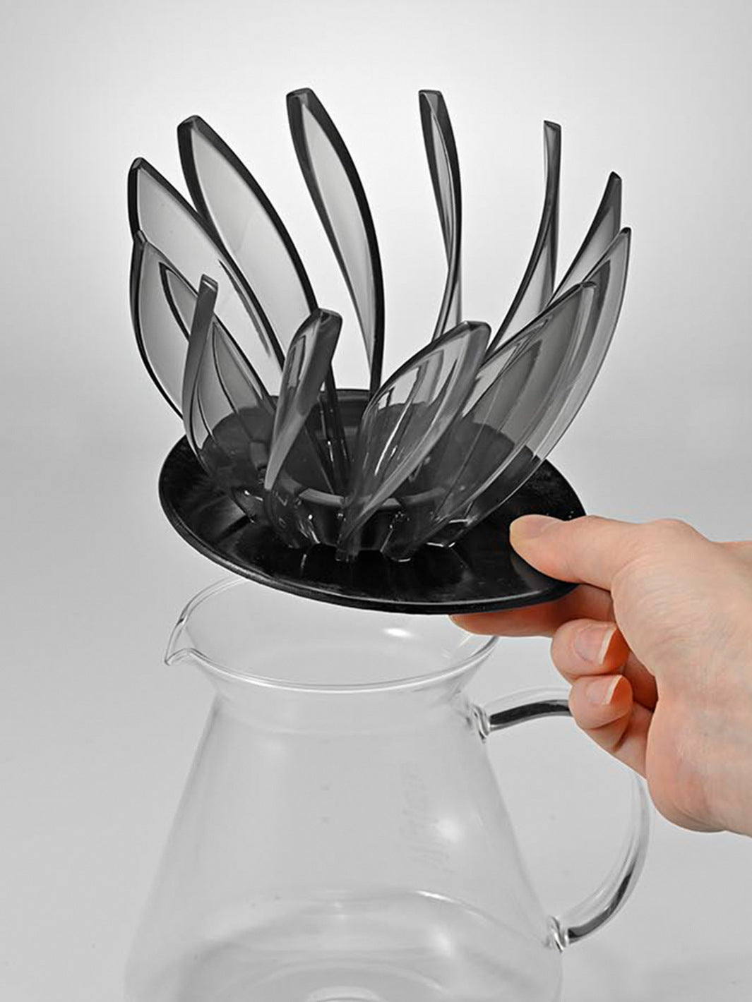 HARIO V60-02 Suiren Dripper / Pourover Brewers | Eight Ounce Coffee