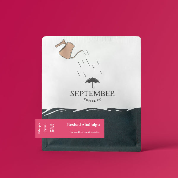 September - Reshad Ababulgu