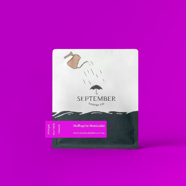 Photo of September - Mullugeta Muntasha: Natural ( Default Title ) [ September Coffee Co ] [ Coffee ]