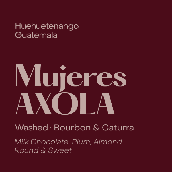 Subtext - Mujeres AXOLA Espresso