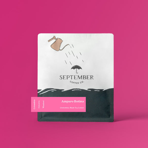 September - Amparo Botina