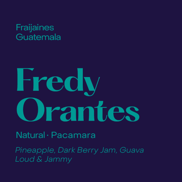 Subtext - Fredy Orantes: Natural Pacamara
