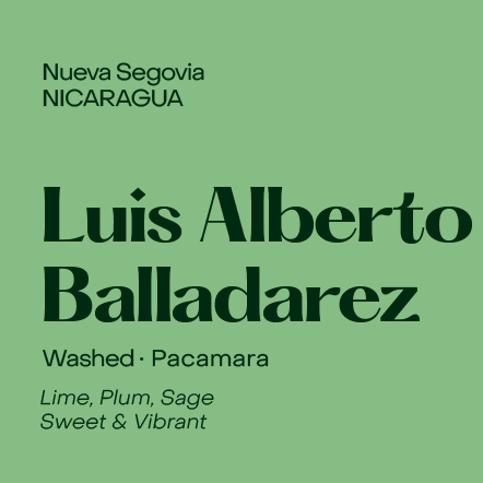 Subtext - Luis Alberto Balladarez: Washed