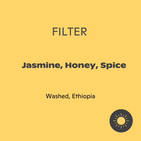 Photo of Transcend - Guji Washed ( ) [ Transcend ] [ Coffee ]