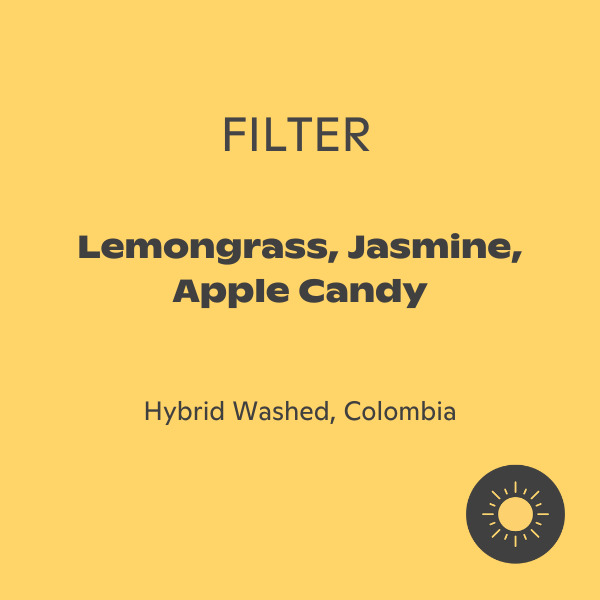 Monogram - Carmen Montoya