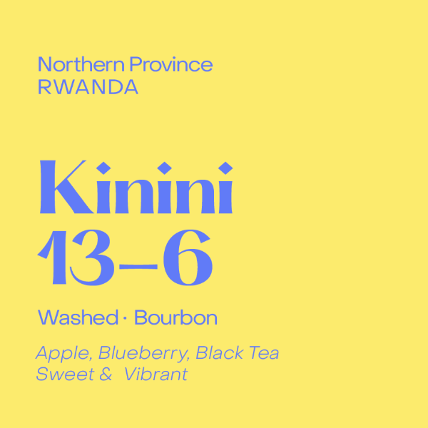 Subtext - Kinini 13-6