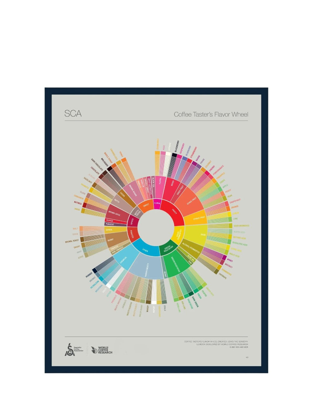Photo of SCA The Coffee Taster's Flavour Wheel Poster ( Default Title ) [ SCA ] [ Posters ]
