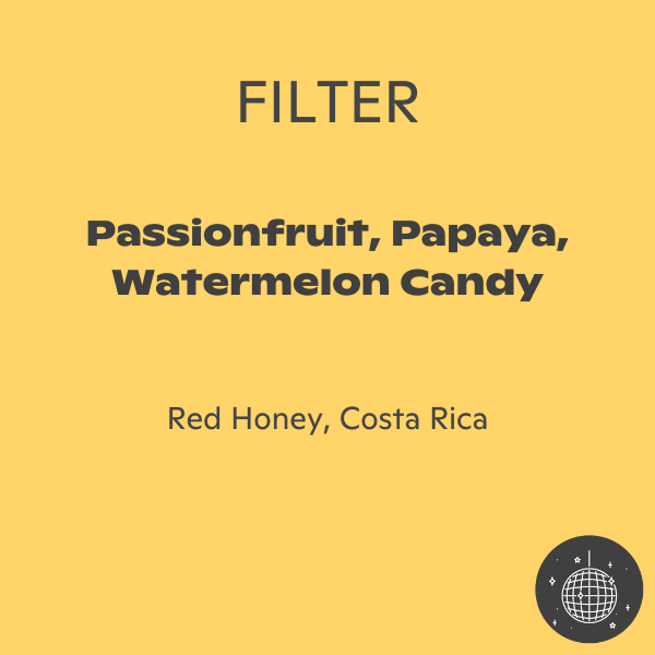 Phil & Sebastian - La Lia Typica Amarillo Red Honey