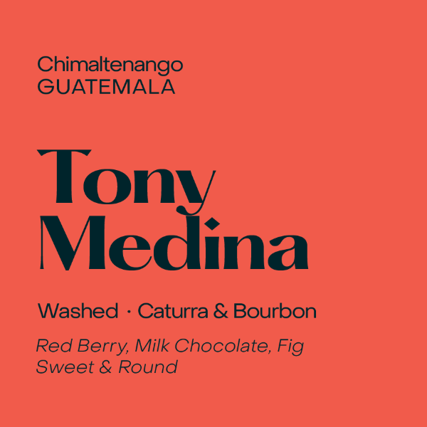 Subtext - Tony Medina: Caturra & Bourbon