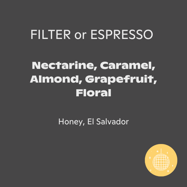 Rogue Wave Coffee - Cerro Las Ranas
