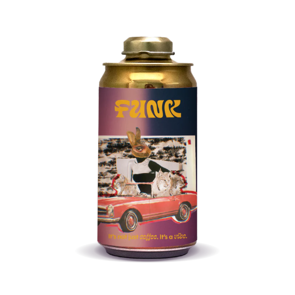 FUNK - I Want You Here