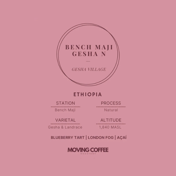 Moving Coffee - Bench Maji: Gesha WWCF