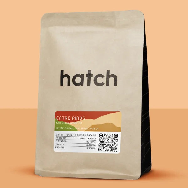 Hatch - Entre Pinos