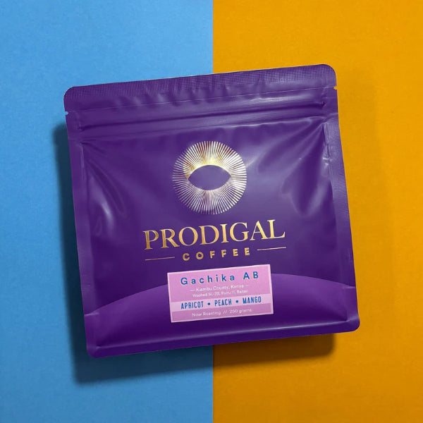 Prodigal - Gachika AB