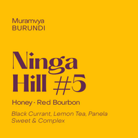 Photo of Subtext - Ninga Hill #5 ( Default Title ) [ Subtext Coffee Roasters ] [ Coffee ]