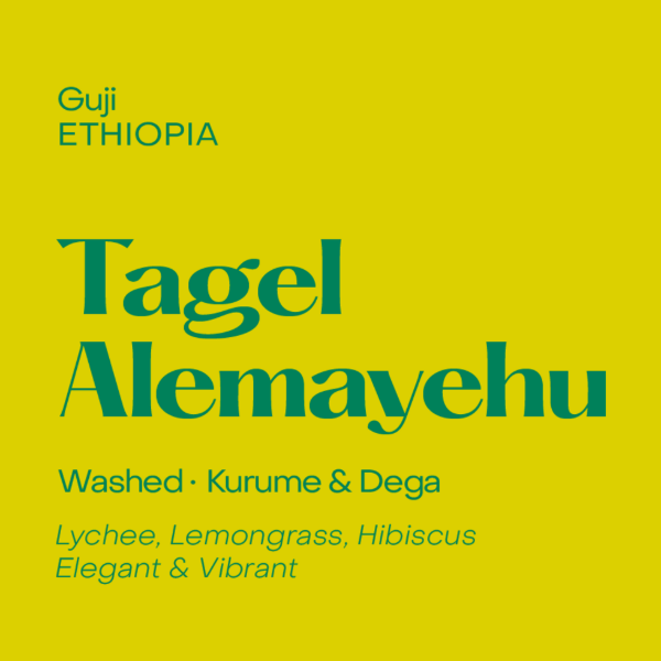 Subtext - Tagel Alemayehu