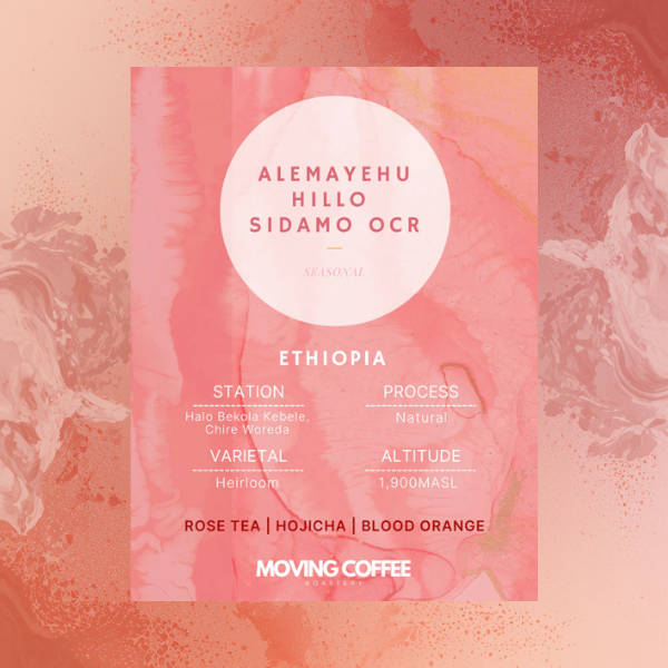 Moving Coffee - Alemayehu Hillo