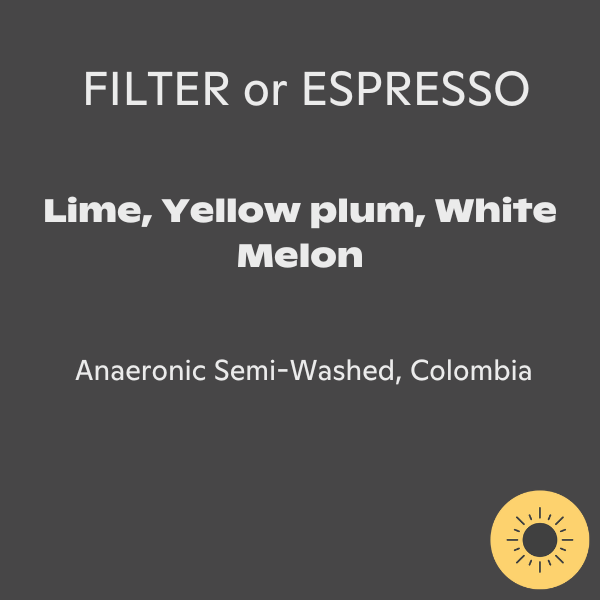 Photo of Ditta Artigianale - Colombia Wilder Lasso Geisha Spirit ( ) [ Ditta Artigianale ] [ Coffee ]