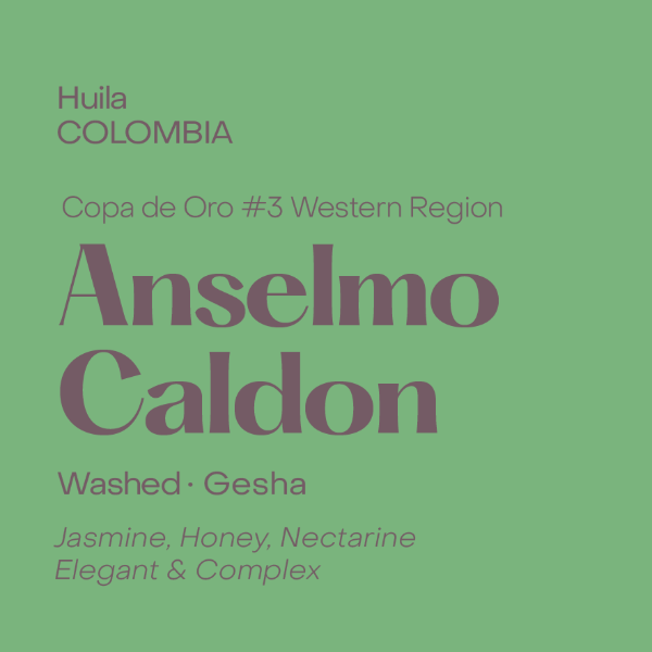 Subtext - Anselmo Caldon