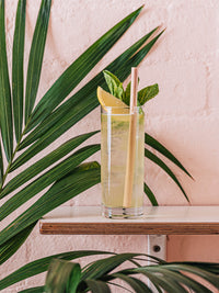 Photo of LITTLE GREEN PANDA Paper-Wrapped Home Compostable Straw (⌀8x210mm/⌀0.3x8.3in) (Angled Cut) (180-Pack) ( ) [ Little Green Panda ] [ Single Use Straws ]