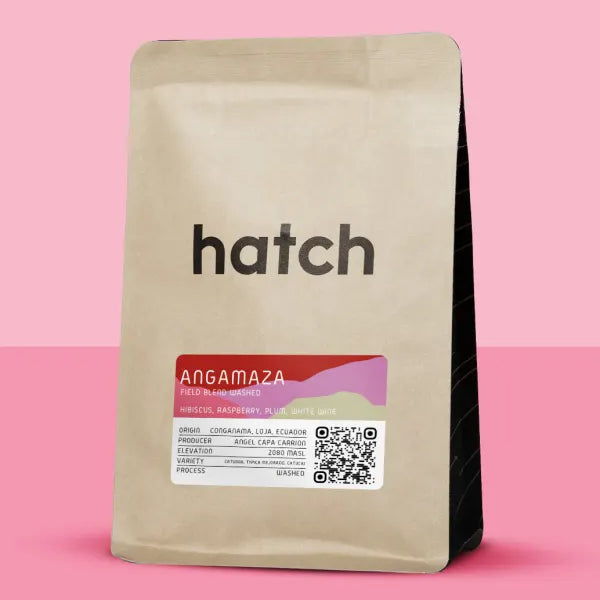 Hatch - Angamaza