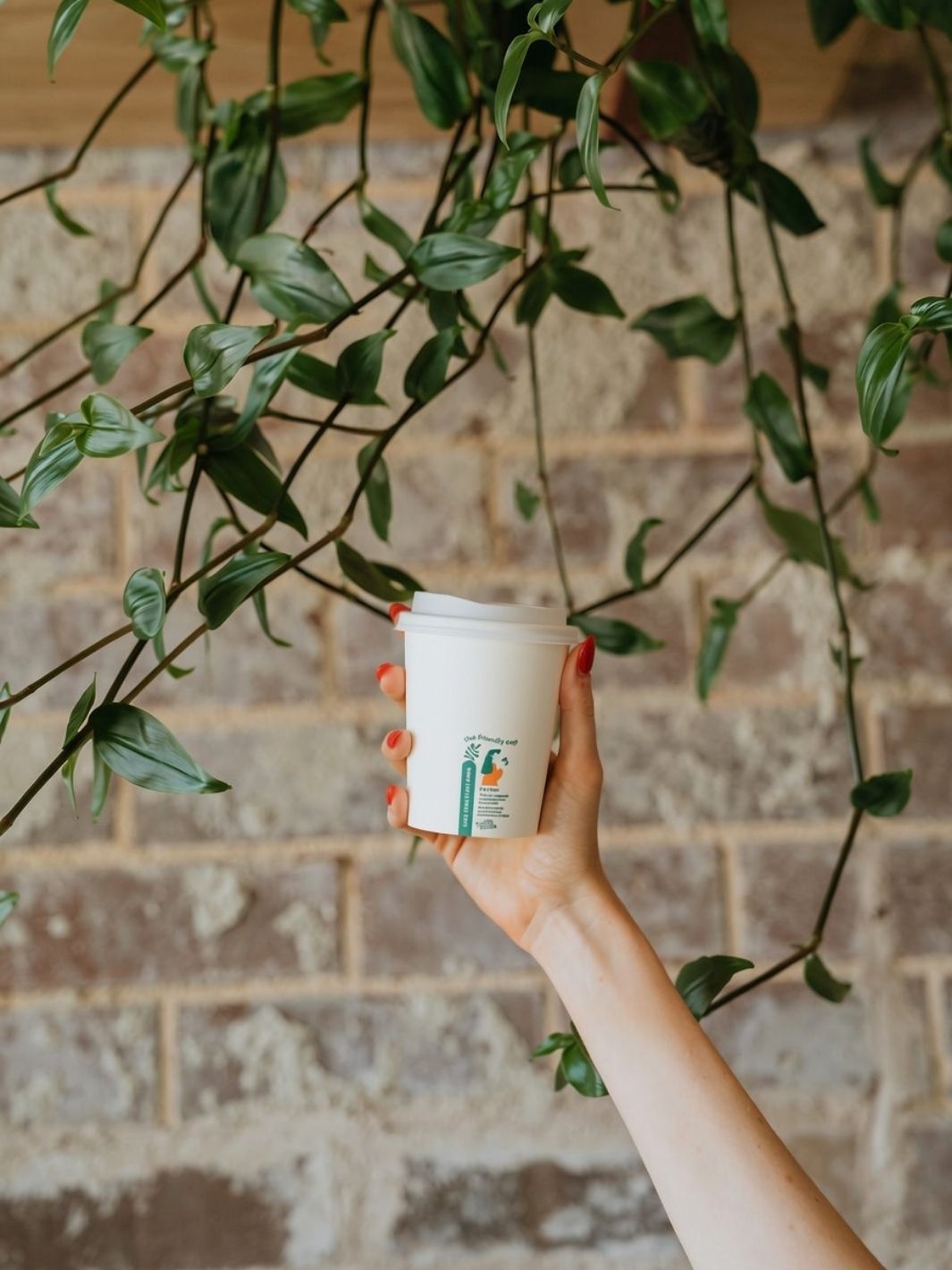 LITTLE GREEN PANDA Home Compostable Paper Cup (1000-Pack) (White)