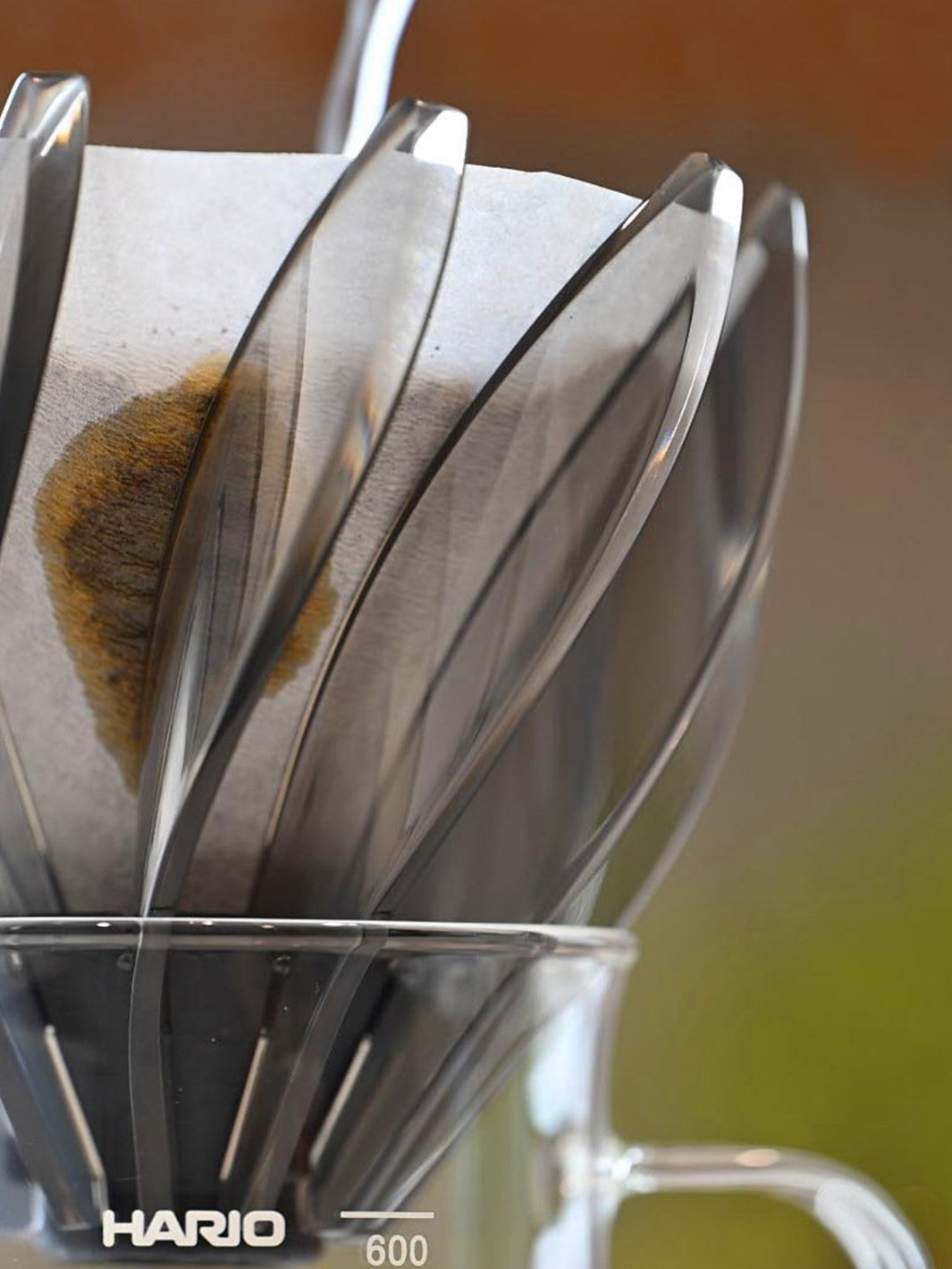 HARIO V60-02 Suiren Dripper / Pourover Brewers | Eight Ounce Coffee