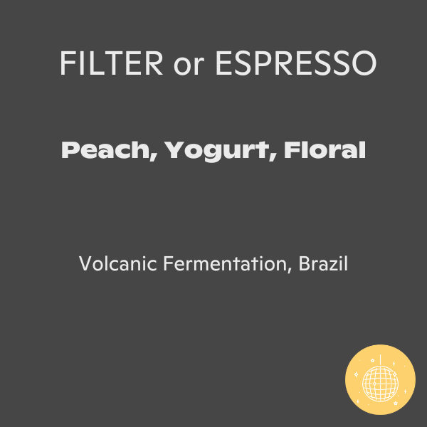 Photo of Assembly Coffee - Brazil Lacti ( ) [ Assembly ] [ Coffee ]
