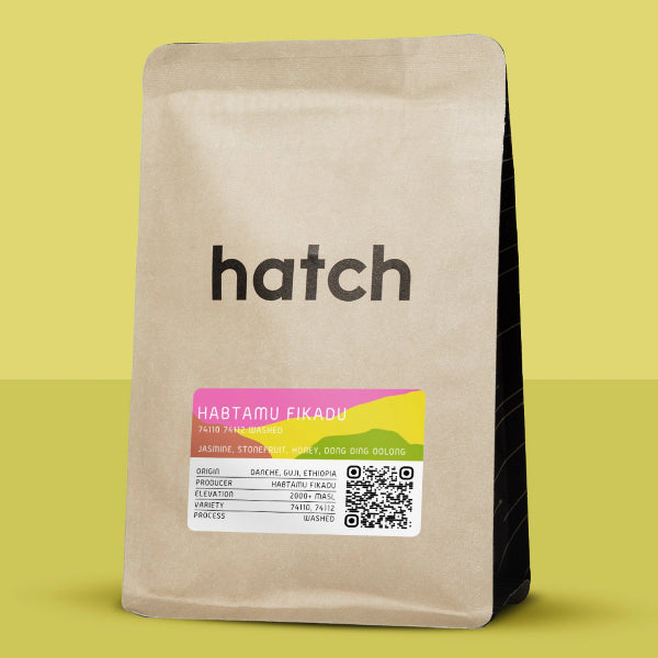Hatch - Habtamu Fikadu